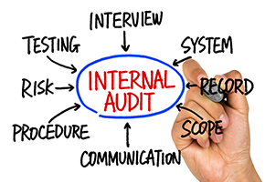 Eagle Group Consultants can mentor your Internal Auditors.